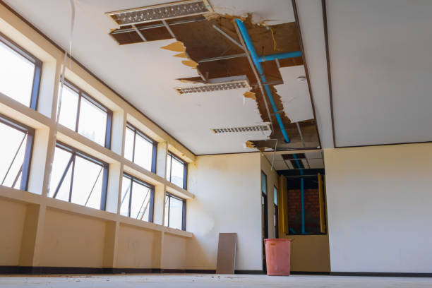 Best Water damage mitigation services  in Hoisington, KS
