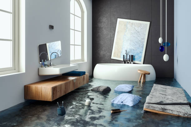 Best Professional water damage repair  in Hoisington, KS