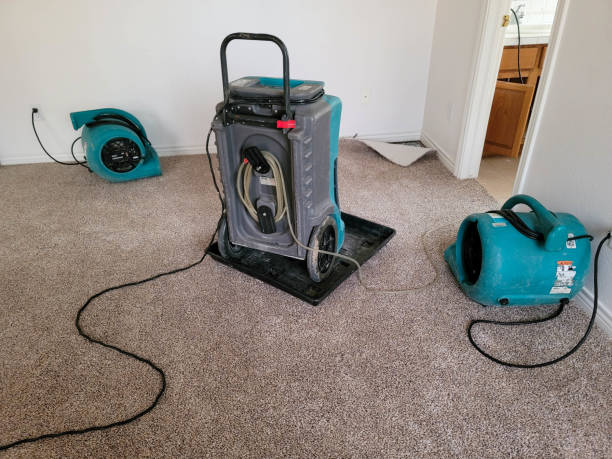 Best Fire Damage Restoration  in Hoisington, KS
