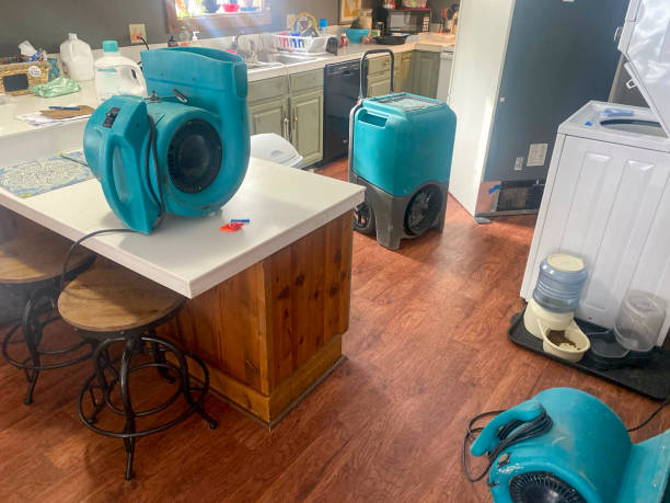 Best Water damage restoration near me  in Hoisington, KS