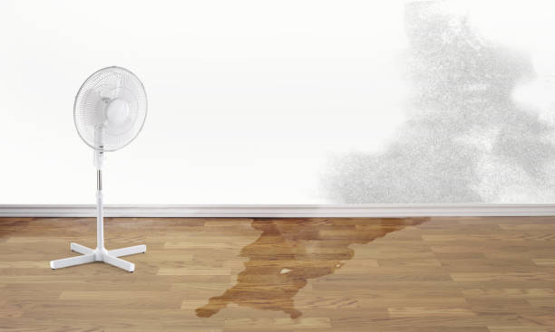 Best Emergency water damage restoration  in Hoisington, KS