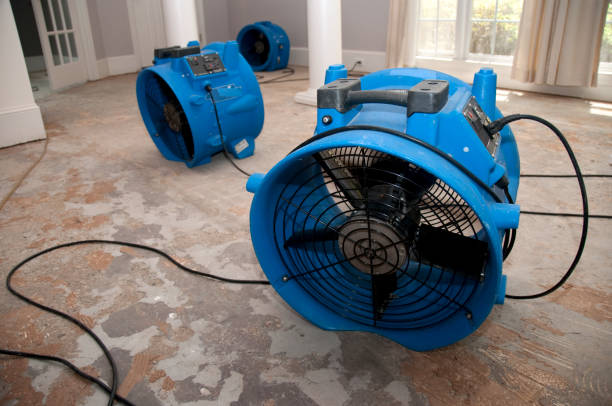 Best Water damage cleanup near me  in Hoisington, KS