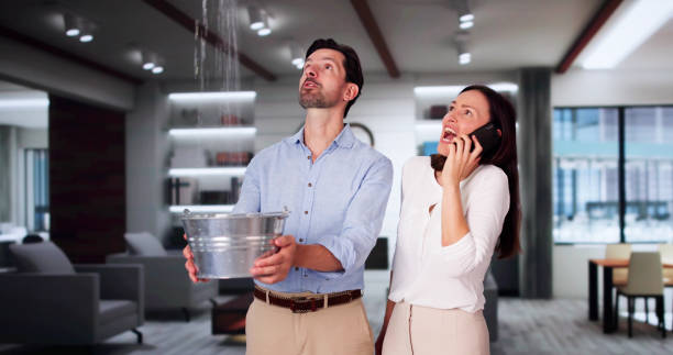 Best Local water damage restoration  in Hoisington, KS